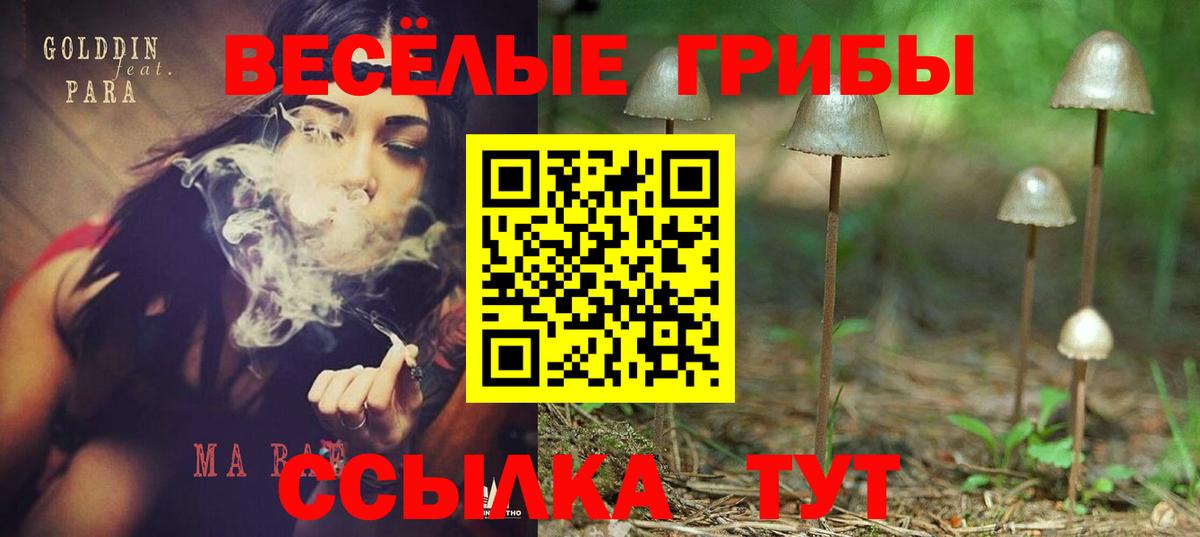 Галлюциногенные грибы MAGIC MUSHROOMS Ангарск